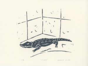 Lino le croco 163