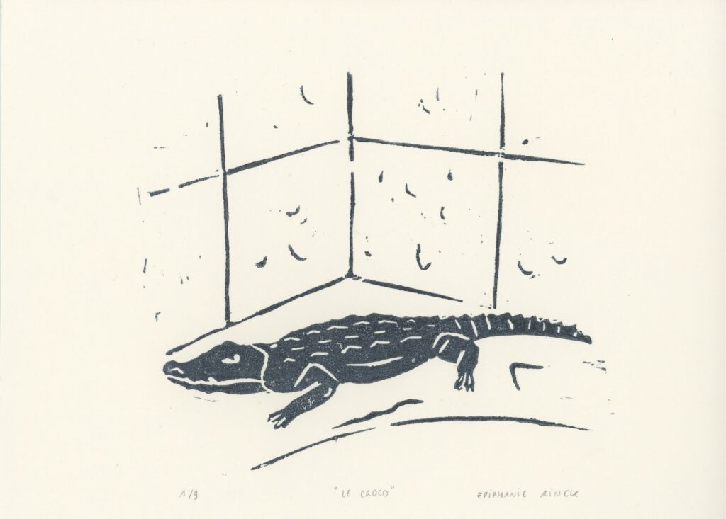 Lino le croco 163