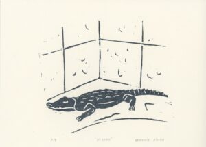 Lino le croco 163