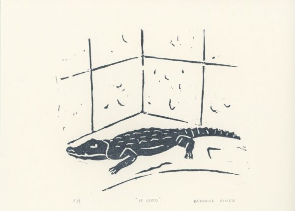 Lino le croco 163